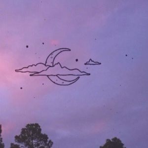 Meet your Posher, Jayla